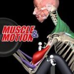 strength training by muscle and motion mod apk