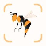 picture insect mod apk download