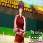 the interim domain apk
