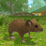 Mouse Simulator MOD APK: Forest Home (No Ads) Download