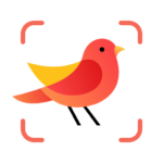 Picture Bird MOD APK -Bird Identifier (Premium Unlocked) Download
